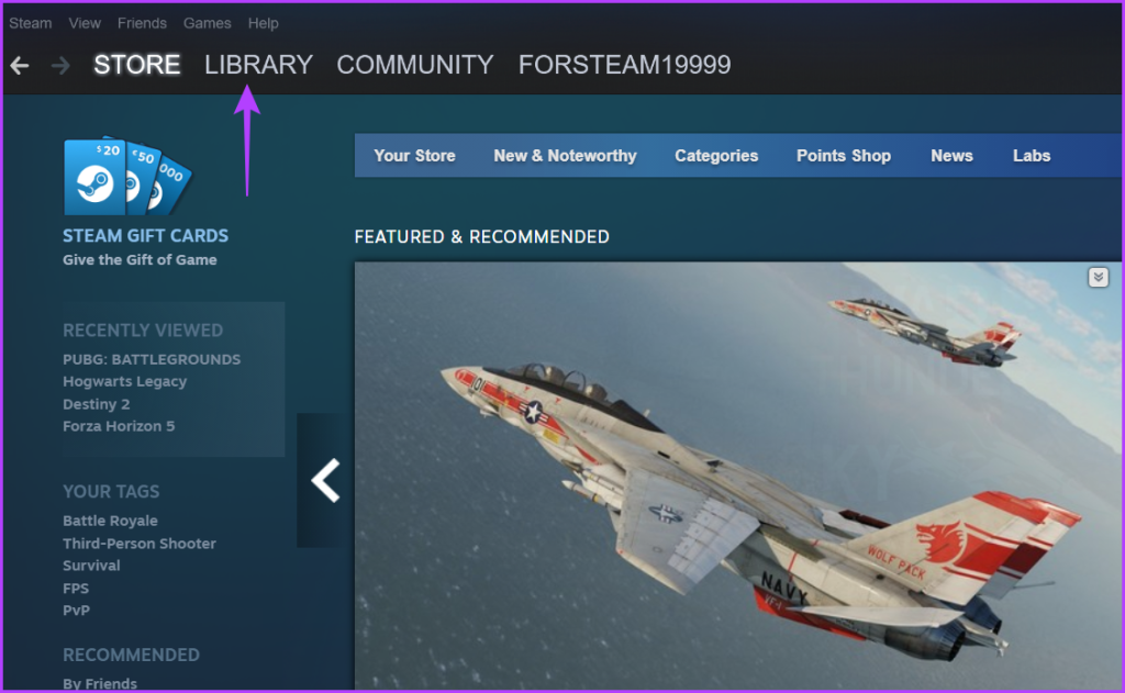 Library option in Steam